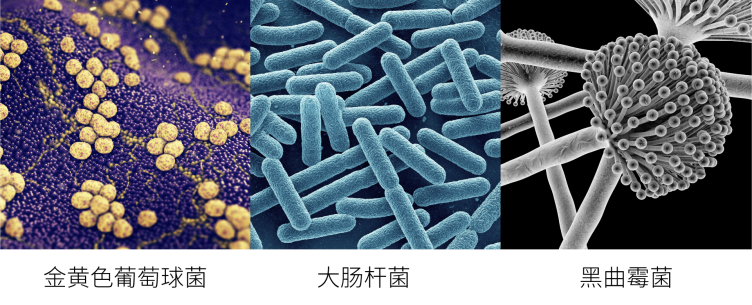 汽车内饰抗菌材料健康黑科技