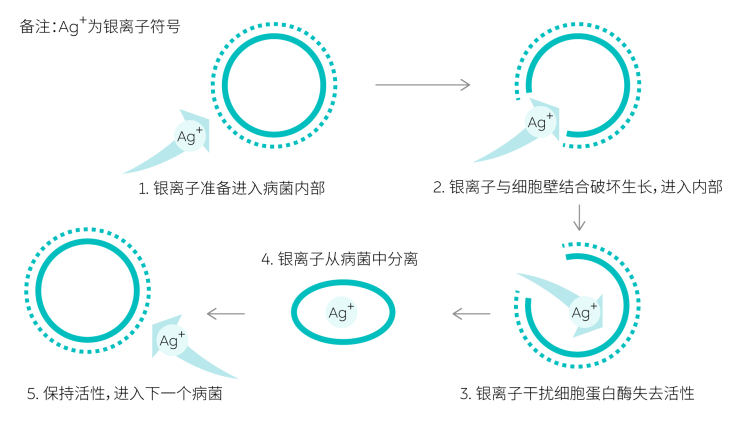 汽车内饰抗菌材料健康黑科技